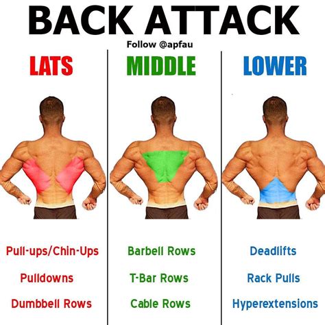 Almost every muscle constitutes one part of a pair of identical bilateral. Back Workout Complete With 8 Exercises | Exercise, Gym tips, Workout