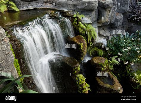 Waterfall Jungle Scene Stock Photo Alamy