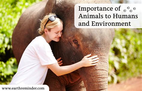 Importance Of Animals To Humans And Environment Earth Reminder