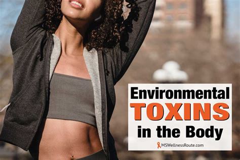 Environmental Toxins In The Body MS Wellness Route