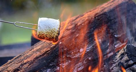 Camp Fire Recipes Camp Donuts Toasted Homemade Marshmallows And Smores