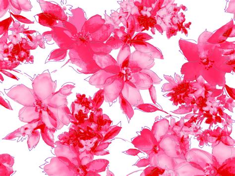1600x900 Flowers Pink Petal Wallpaper Free Top Wallpapers
