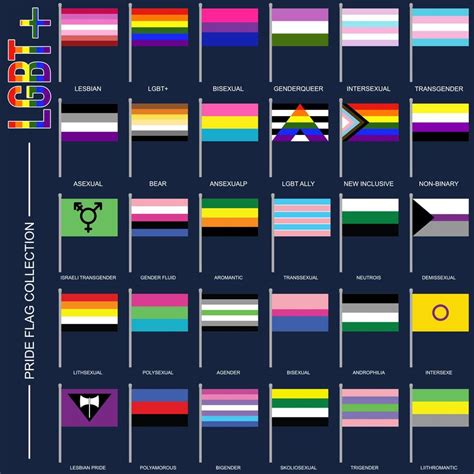 conjunto de banderas de orgullo de identidad de género símbolos lgbt banderas sexo gay