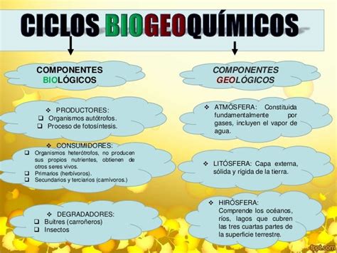 Ciclos Biogeoquimicos Mapa Conceptual Tados