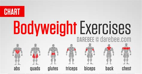 Bodyweight Exercises Chartpdf Darebee Workout Chart Calisthenics