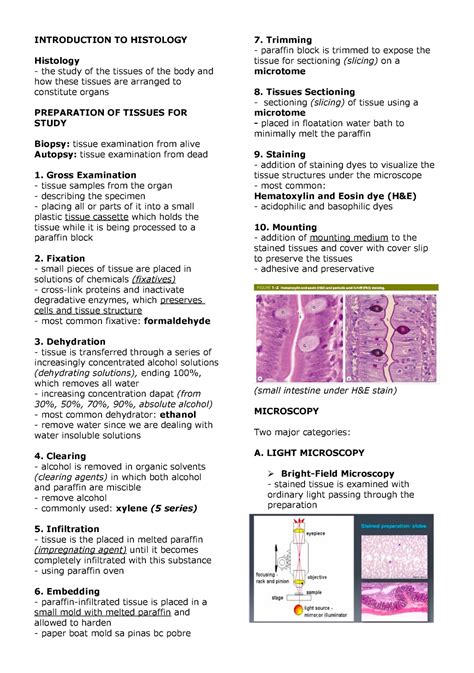 Histology 1 Lolzxc Introduction To Histology Histology The Study Of