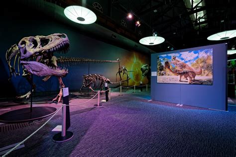 Travelling Dinosaur Exhibition Rental Gondwana Studios