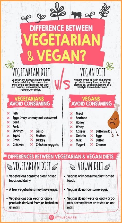 What Is The Difference Between Vegetarian And Vegan Diets Healthy