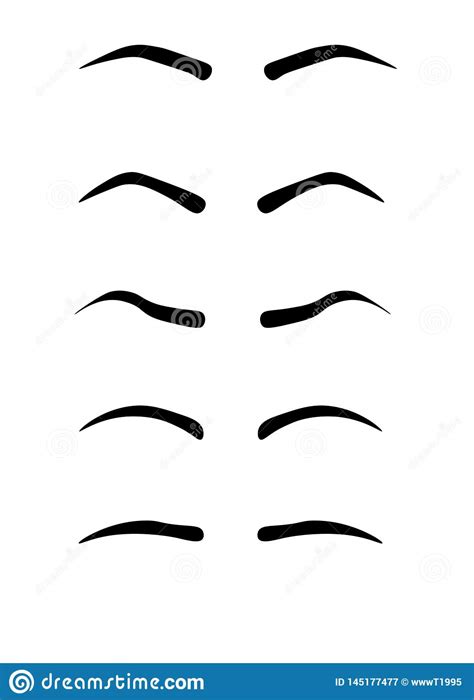 Web Eyebrow Shapes Various Types Of Eyebrows Classic Type And Other Trimming Vector