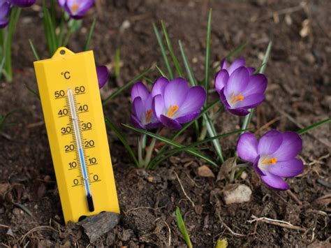 What Is Soil Temperature Learn About The Ideal Soil Temperatures For