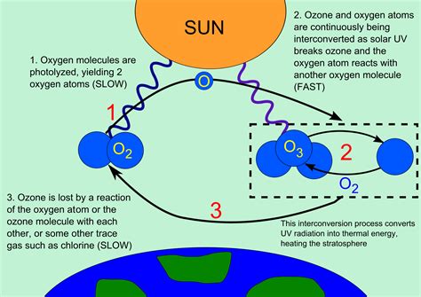 Ozone Layer Description Open Naukri