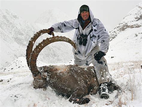 Mid Asian Ibex In Kyrgyzstan Profihunt Profihunt