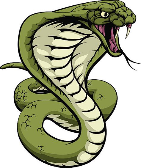 Viper Snake Clipart 10 Free Cliparts Download Images On Clipground 2023