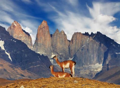 Travel Review Luxury South America Vacation Chile And Argentina Buenos