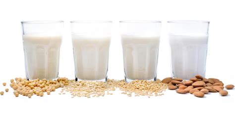 Different Types Of Milk Dairy And Plant Based Milk Guide Instacart