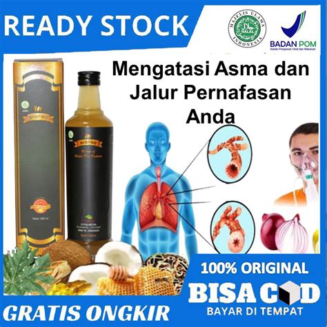 Jual Obat Asma Herbal Sesak Nafas Mengi Manggah Bengek Anak Dewasa