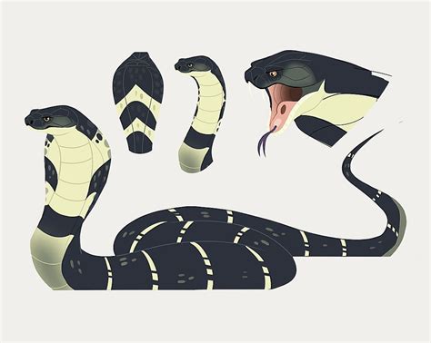Resultado De Imagen De Wild Kratts Cobra
