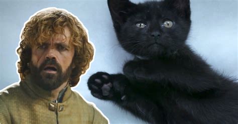 Game Of Thrones As Told By Cats Will Make You Smile