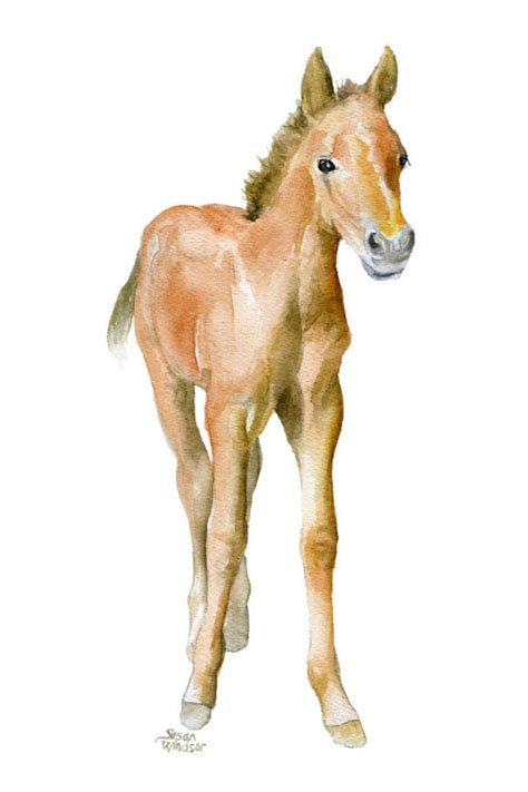Horse Watercolor Painting 4 X 6 Giclee Print Reproduction Etsy