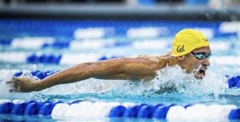Cal Mens Swimming Golden Bears Win 2nd Straight Ncaa Title 8th