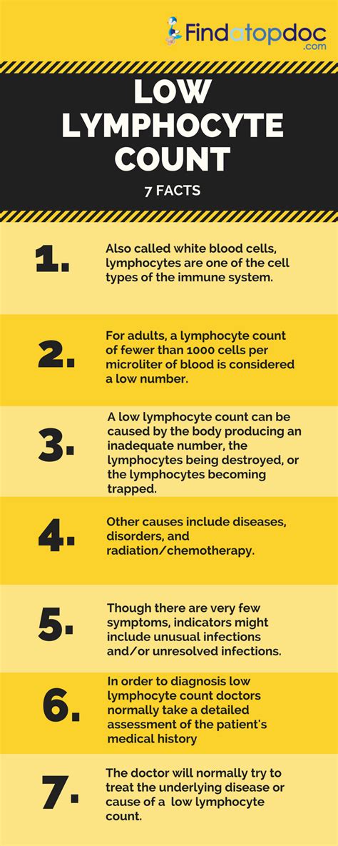 Lymphocytes Low Normal And High Counts Findatopdoc
