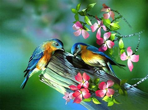 46 Free Spring Bird Wallpaper Wallpapersafari