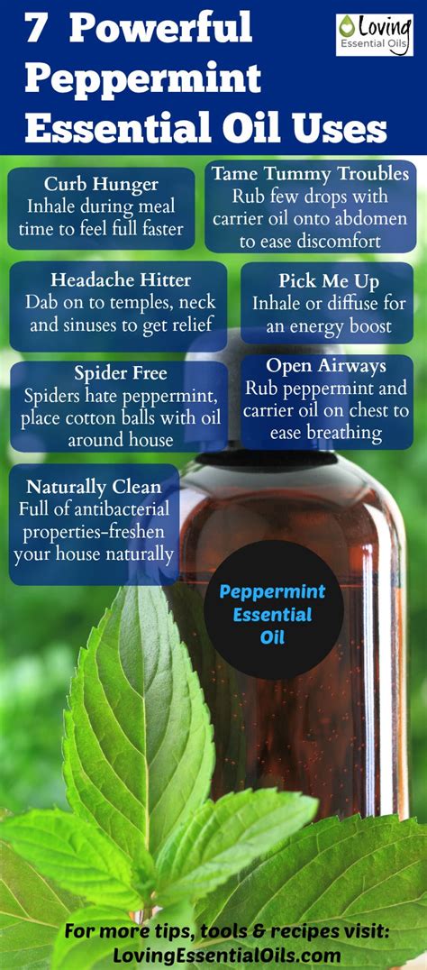 Peppermint Essential Oil Uses And Benefits With Diy Recipes Loving Essential Oils
