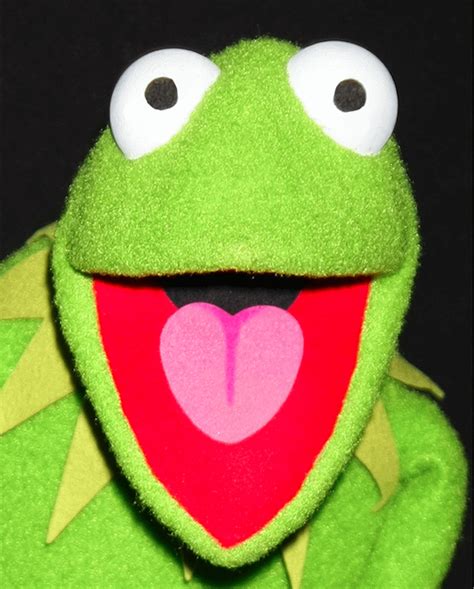 Kermit With Normal Muppet Eyes Rmuppets