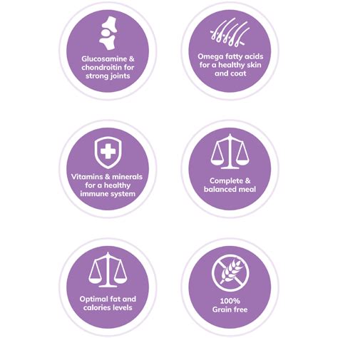 The food we serve our pets should be nutritious and delicious. CORE Senior Senior | Wellness Pet Food