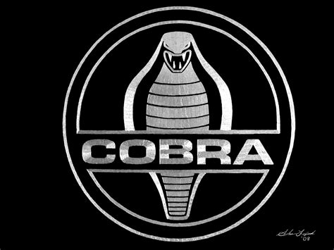 Exotic Engravings Cobra Logo