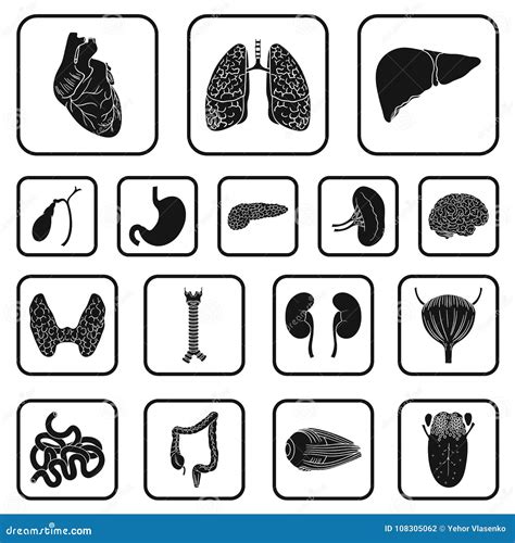 Human Organs Black Icons In Set Collection For Design Anatomy And