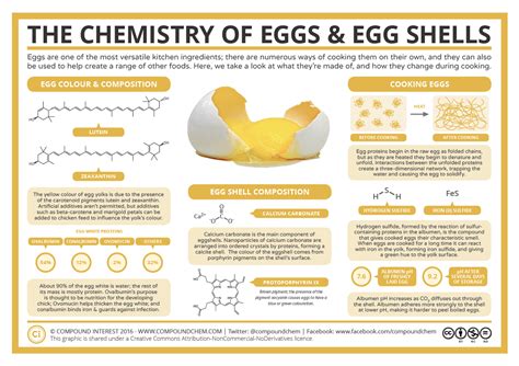 The Chemistry of Eggs & Egg Shells | Compound Interest