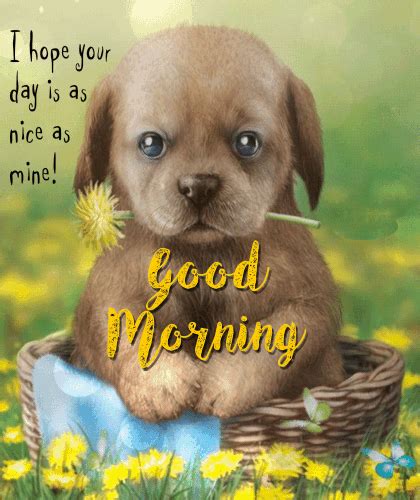 A Very Nice Morning Card Just For You Free Good Morning Ecards 123