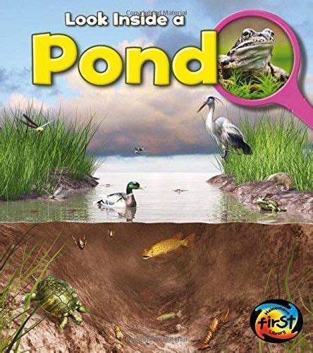 What To Read Childrens Books About Pond Life In 2021 Pond Life