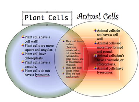 The differences between plant and animal cells are: Pin on science project