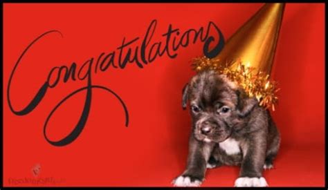 Free Congratulations Puppy Ecard Email Free Personalized