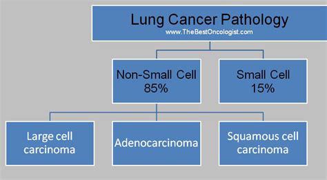 Lung Cancer Pathology The Best Oncologist Tm