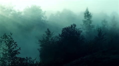 Foggy Forest Desktop Wallpaper