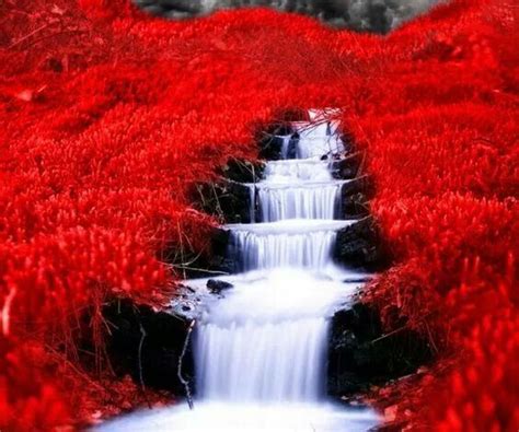 Pin By Bonne Lamour On Simply Red Beautiful Waterfalls Waterfall