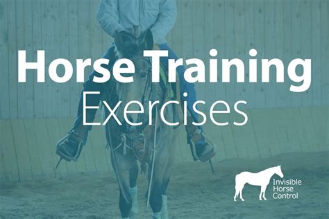 Training Exercises Horse Training Fitness Training Horses Training