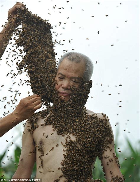 Unbelievable Buzz Worthy Transformation Beekeeper Transforms Into Human Hive
