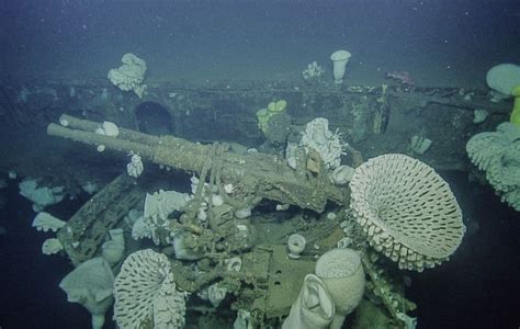 Amazing Images Offer First Glimpse Of Sunken Wwii Era Aircraft Carrier