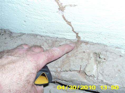 Eagle Home Inspections Termite Mud Tunnels