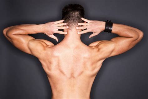 The Shoulder Muscles And Their Movement Facty Health