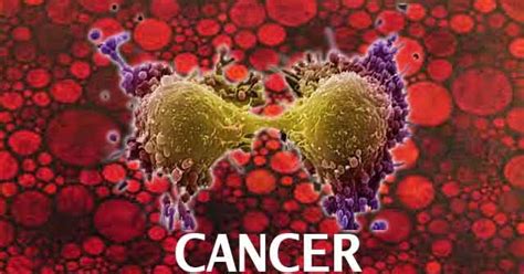 Recent Advances In Cancer Treatments