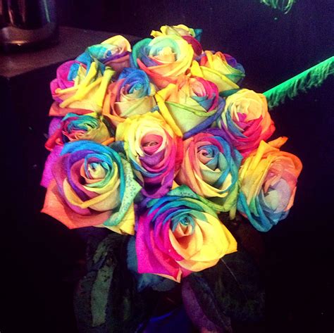 Real Rainbow Infused Roses Rainbow Roses Hippie Flowers Pretty Flowers