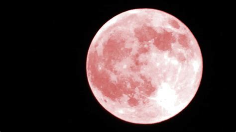 Superluna Rosa Calendario Lunar Abril 2021 Cuándo Ver La Superluna