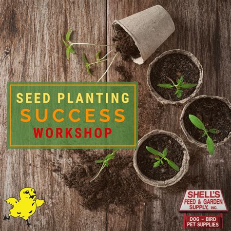 Aug 24 Seed Planting Success Workshop Tampa Fl Patch
