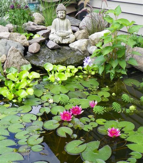Lotus Flowers For Your Garden Pond A Guide To Choosing And Caring For