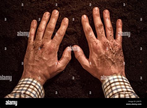 Farmers Hands On Fertile Soil Ground Man Appreciate Nature And